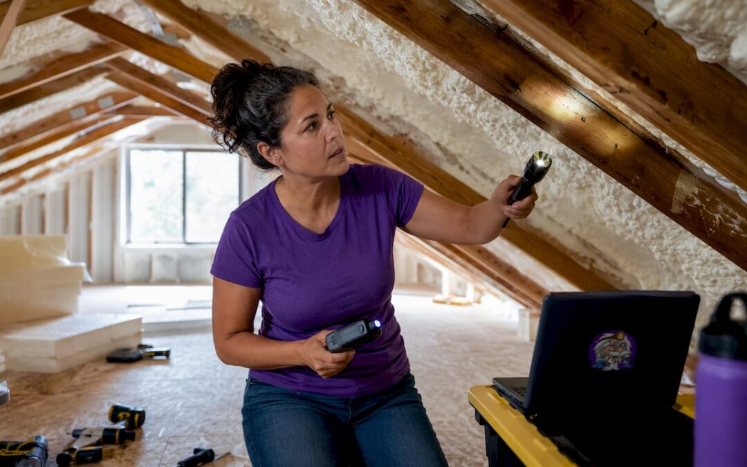 Top 10 Attic Moisture Problems Examples for Homeowners