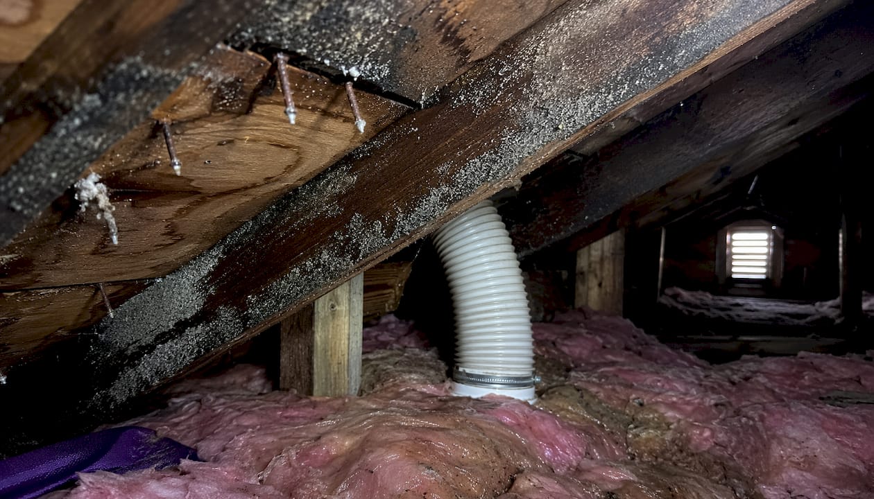 Moisture damage examples in residential attic