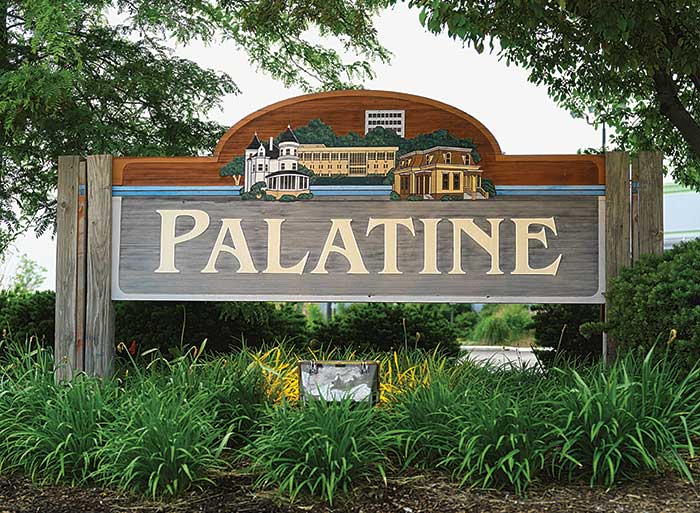 Attic Insulation Services in Palatine