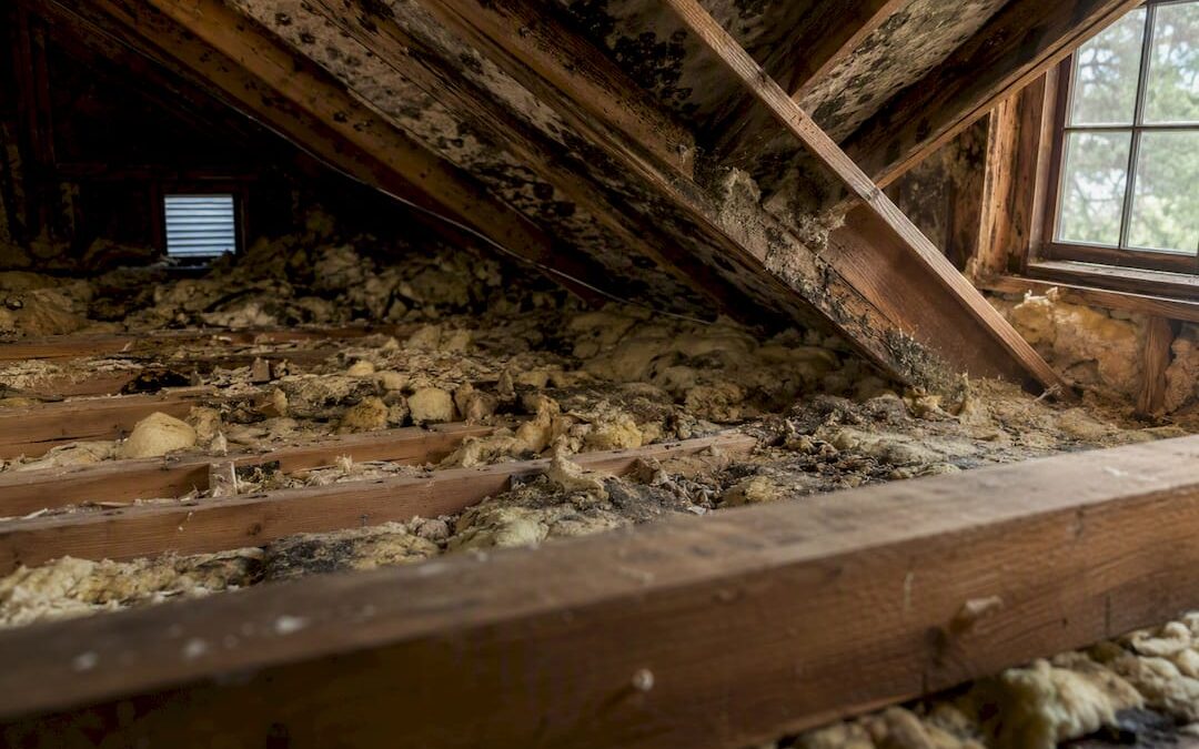 Yes, a Bad Attic Can Trigger Your Home Allergies