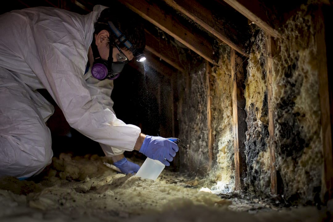 Manual mold remediation in attic insulation