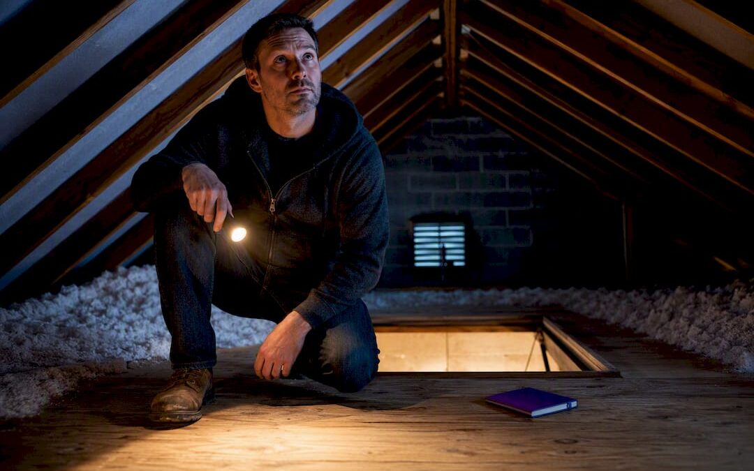 Homeowners: Pin Down Attic Scratching Tonight with a Simple Sound Log