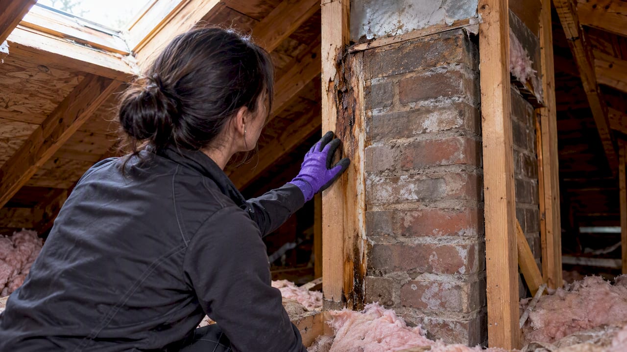 Technician inspecting rust and damaged chimney chase framing