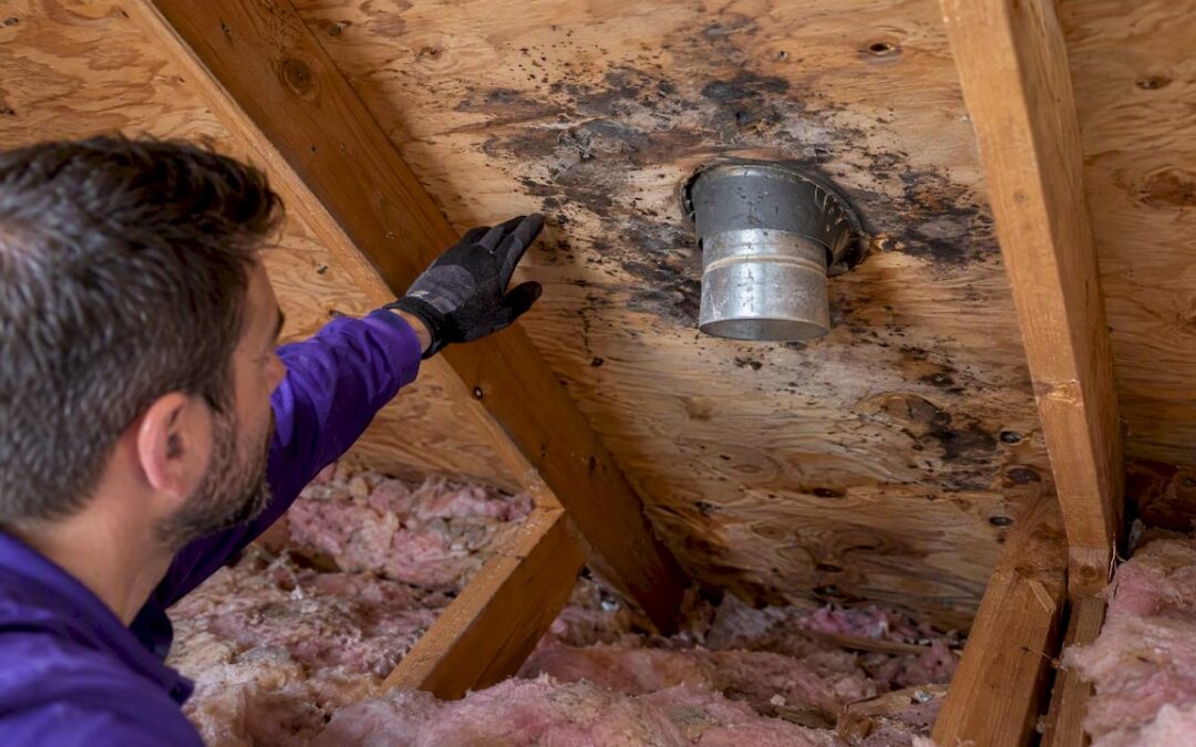 Attic Black Spots: The 10 Square Foot Rule for Homeowners
