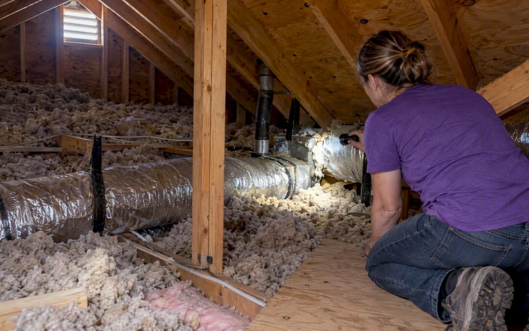 Stop Stack Effect, Mold and Bills: 15 Minute Attic Check for Homeowners
