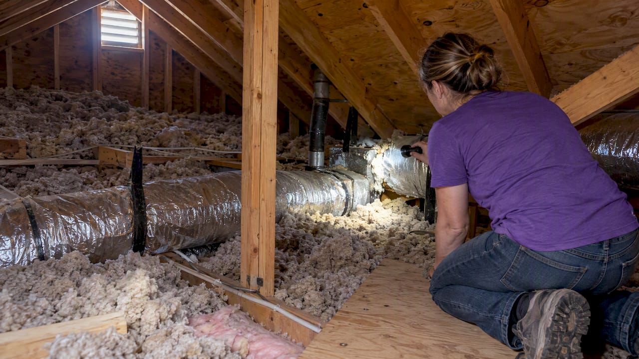 Homeowner inspecting attic insulation and air leaks