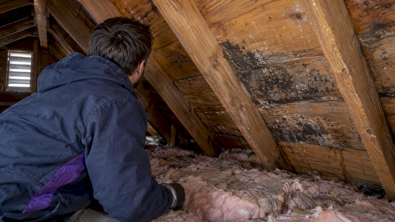 Winter condensation and mold on attic sheathing